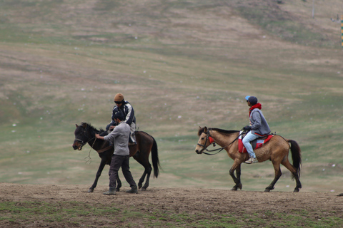 Palmer, Alaska: Summer Horse Ride with Glacier & River Views 1.5 Hours Summer Horse Ride with Glacier & River Views