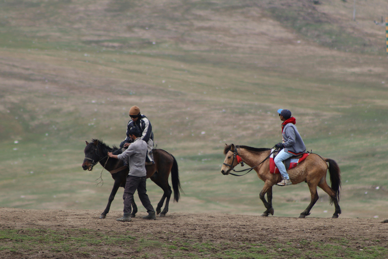 Palmer, Alaska: Summer Horse Ride with Glacier & River Views 1.5 Hours Summer Horse Ride with Glacier & River Views