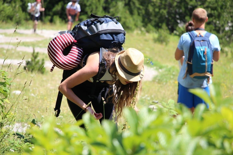 Shkodër: Accursed Mountains 5-Day Hike with Accommodation