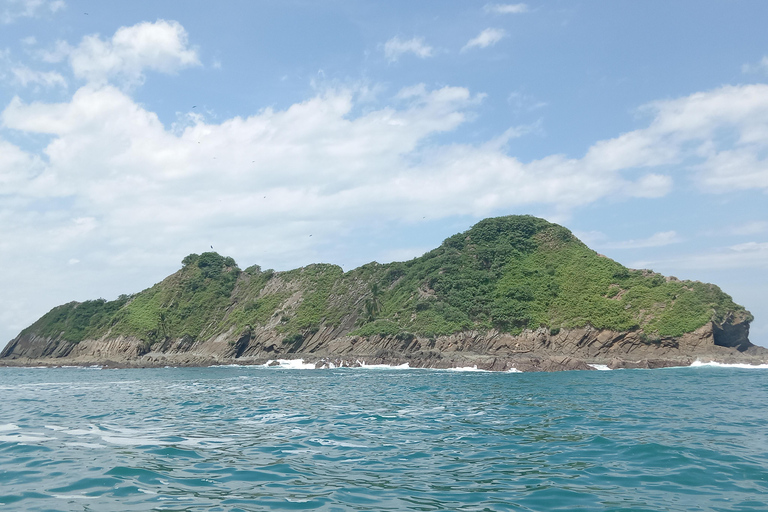 Marino Ballena National Park: Watching Whales and Dolphins