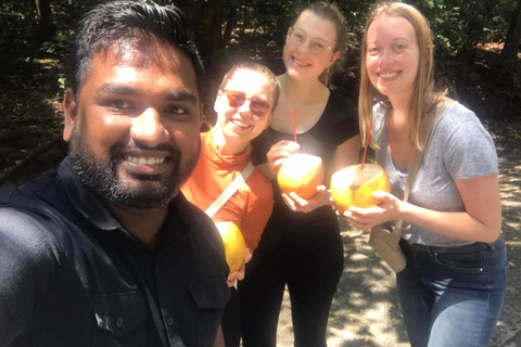 Sigiriya Dambulla &amp; dagtour vanuit Kandy (tour in kleine groep)