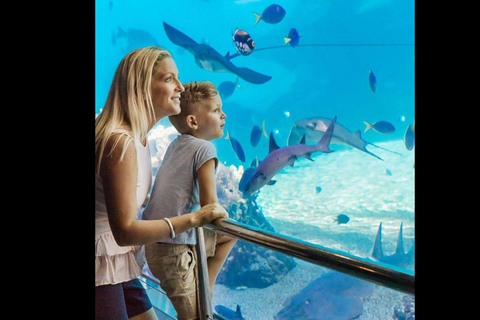 Sea World Entry Ticket with Rides and Shows