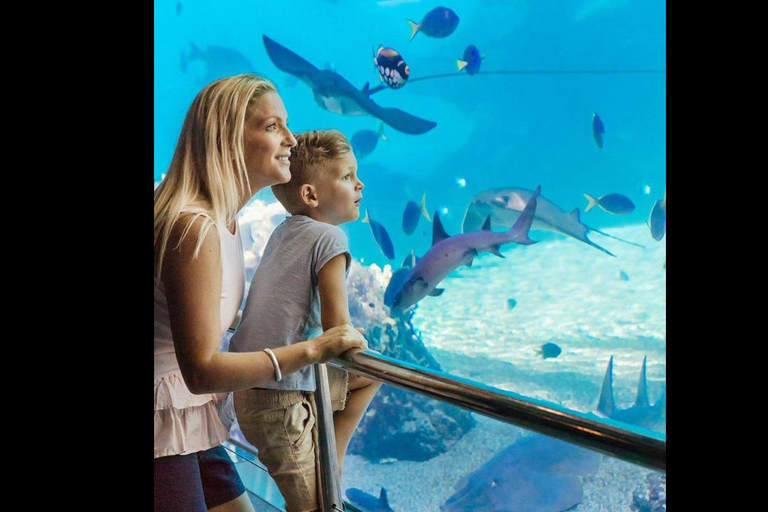 Sea World Entry Ticket with Rides and Shows