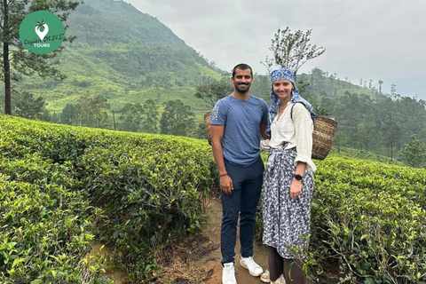 Kandy: Nuwara Eliya Tag Erkundung per Tuk Tuk mit ortskundigem Guide