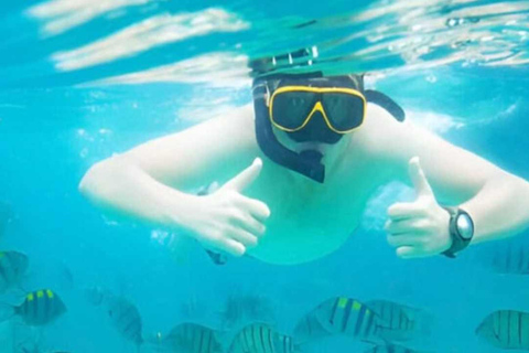 Puerto Plata: Sosúa Bay Snorkeling Tour with Transfers