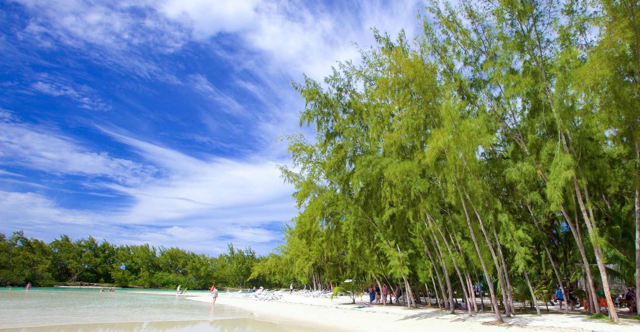 モーリシャス、カタマランクルーズからバーベキューランチとともにile aux cerfsへ - Housity