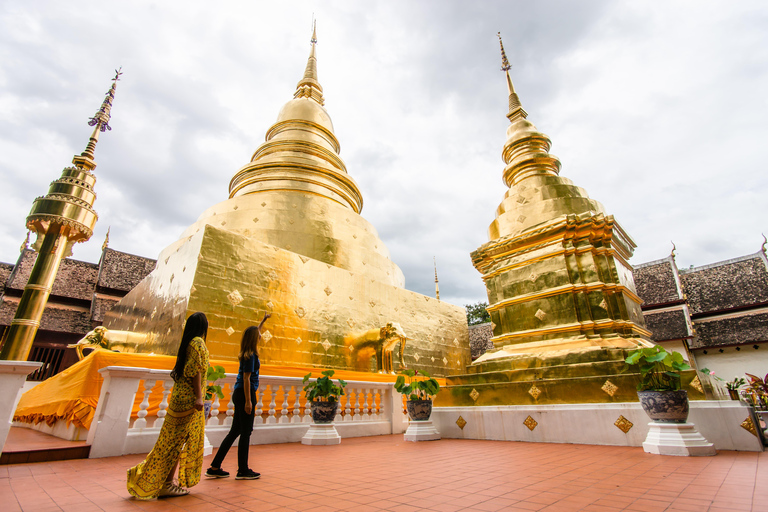 Excursión de un día en Chiang Mai I Cascada I Dantewada I Doi Suthep