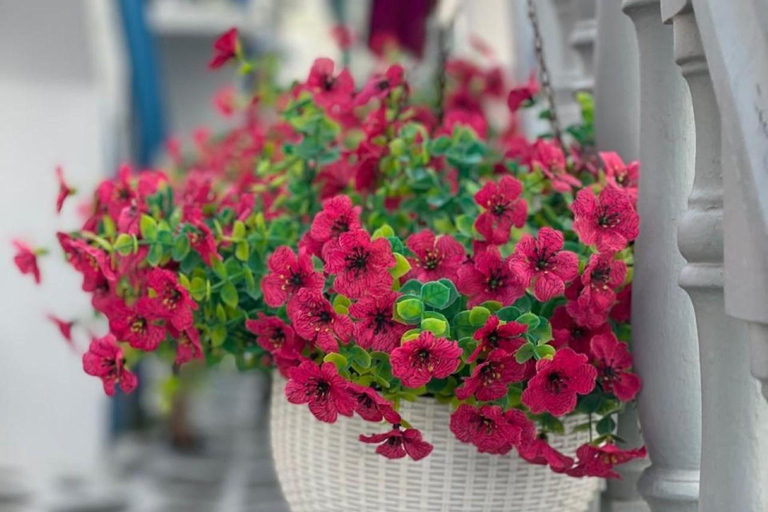 Mykonos Old Town: Secret Alleys, Photo Spots & Sunset Tour Private Tour: Vibrant Colors & Exclusive Sescret Path