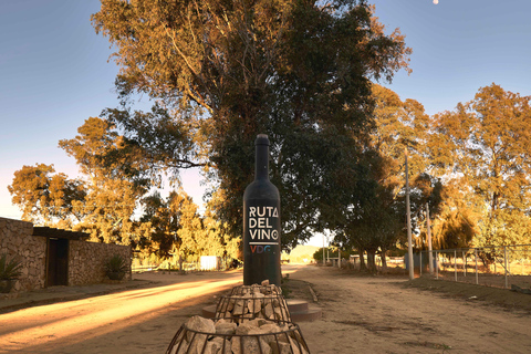 From Tijuana: Valle de Guadalupe Shared Winery Tour