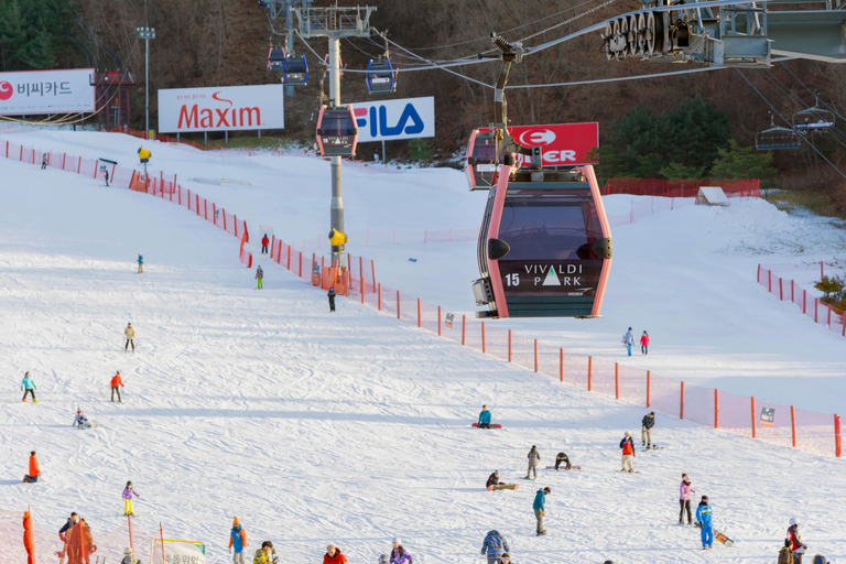 Depuis Séoul : Le monde du ski du parc Vivaldi et la vallée de glace d&#039;EobiTransport uniquement - Rencontre à Myeongdong