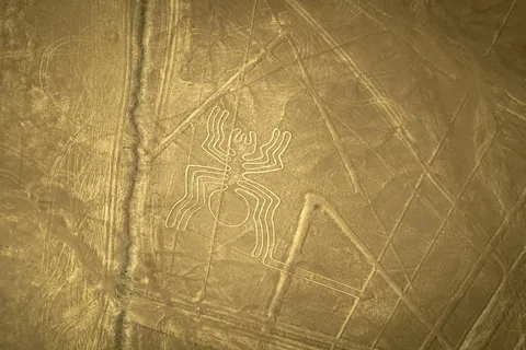 Da Lima: sorvola gli enigmatici geoglifi di Nazca