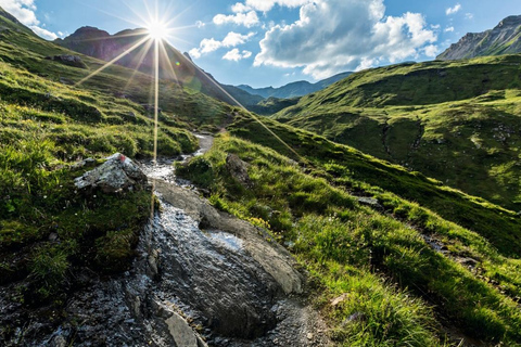 Berner Oberland Pass 3 Days Full Fare Berner Oberland Pass First Class