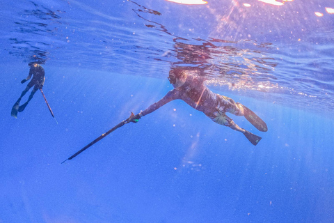 From Cancún: Isla Mujeres Snorkel & Spearfishing Escape