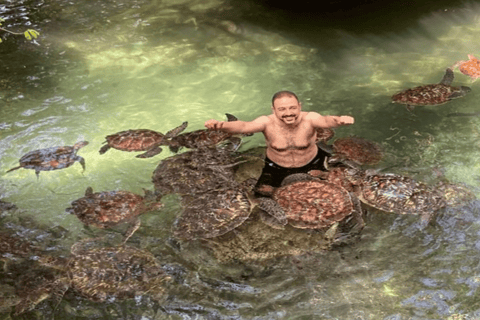 Zanzibar: Mnemba Dolphins Snorkel & Baraka Aquarium Turtles Hotel transfers anywhere in Zanzibar