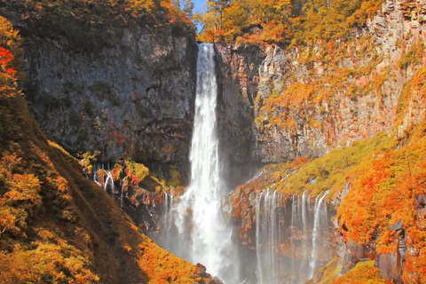 Tokio: Nikko – Private &amp; anpassbare Sightseeing-Tagestour