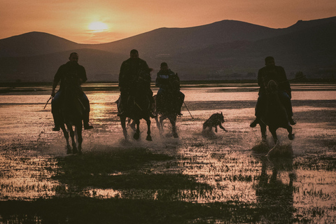 Girona: Full Moon Horseback Ride with Refreshments