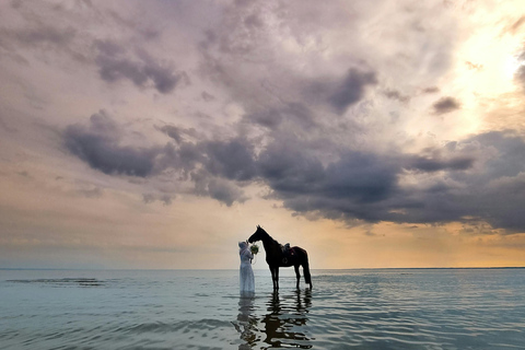 Mahé Island: Jungle and Beach Horseback Riding Tour