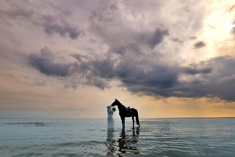 Mahé Island: Jungle and Beach Horseback Riding Tour