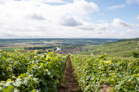 Au départ de Reims : Journée Mumm, producteurs familiaux avec déjeuner