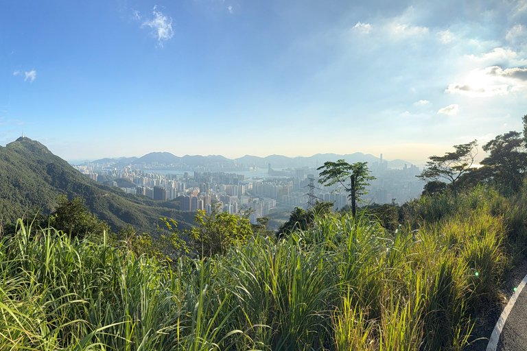 Hong Kong: Tung Shan Skyline Views Guided Hike (2.5 Hours)