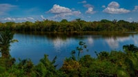 Puerto Maldonado, Sandoval & Parrot Clay Lick 3-Days - Housity