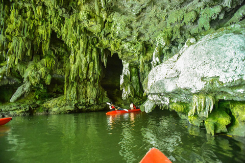 Krabi: Halbtagestour Bor Thor Mangrove Kayaking Tour