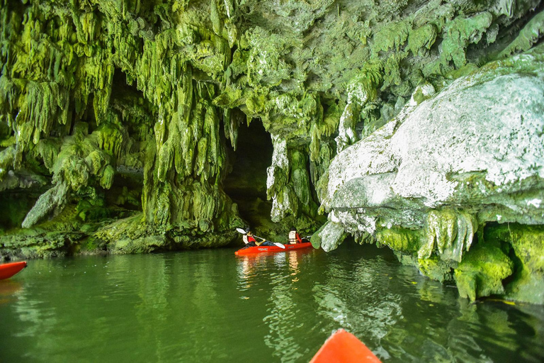 Krabi: excursão de meio dia em caiaque no mangue Bor Thor