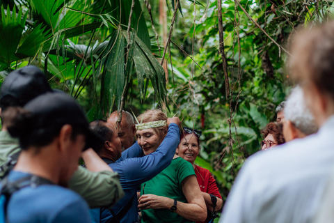 Amazon Adventure: 4 Days of Nature &amp; Culture from Quito