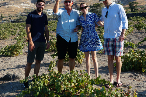 Santorini Wine Tasting & Premium Lunch at AwardWinningWinery