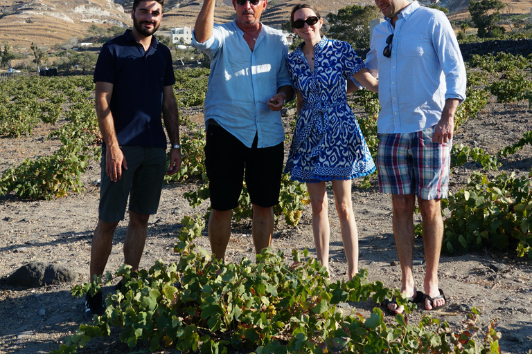 Santorini Wine Tasting & Premium Lunch at AwardWinningWinery