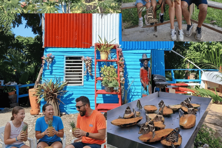 Puerto Plata: Countryside tour with Monkey Home, butterflies, and coffee