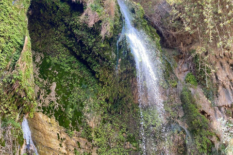 La Riserva Naturale di Ein Gedi e il Mar Morto in russoEin Gedi in russo