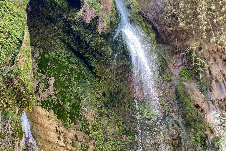 La Riserva Naturale di Ein Gedi e il Mar Morto in russoEin Gedi in russo