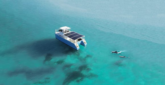 Key West: Dolphin Watch + Guided Snorkel with Honest Eco