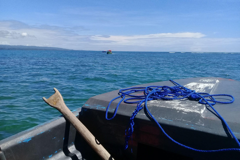 Parque Nacional de Cahuita: Esnórquel