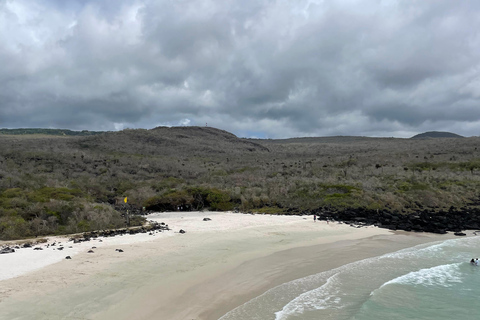 San Cristóbal Island: Highlands Tour with Tortoises