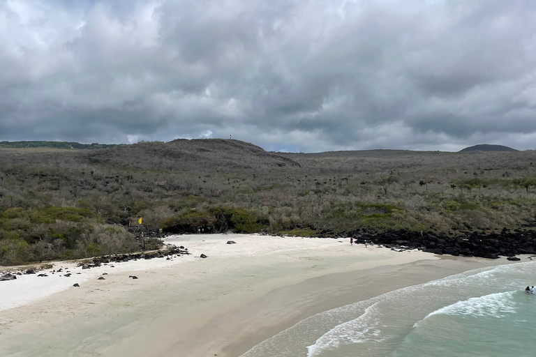 San Cristóbal Island: Highlands Tour with Tortoises