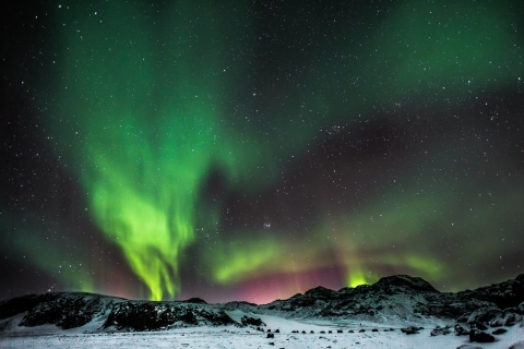 From Reykjavik: 3-5 Hour Northern Lights Mystery Tour Tour in English with Meeting Point