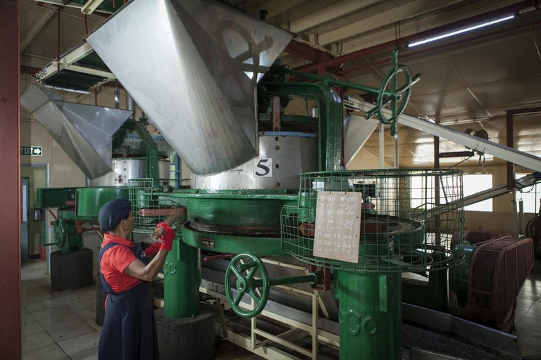 Tea Factory Tour with Tea Tasting , Pickup and Drop off