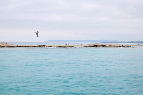 Ibiza: Formentera Boat Cruise, Bike Adventure & Sunset Party Ibiza: Formentera Boat Cruise, Formentera & Sunset Party