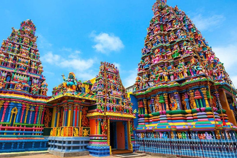 Kandy to Ella: Ramboda, Tea Factory & Nuwara Eliya Tour