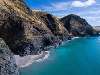 Wirrina Cove: Coastal Sightseeing Bootstour mit Seal Colony