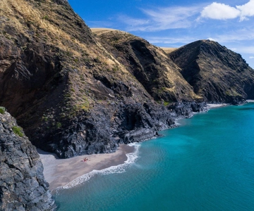 Wirrina Cove: Coastal Sightseeing Boat Tour with Seal Colony