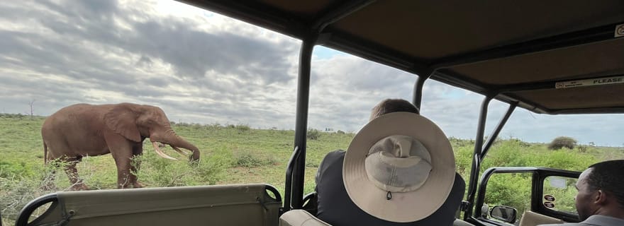 Safari tout compris de 3 jours dans le Kruger au départ de Nelspruit