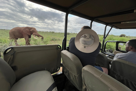 Safari di 2 giorni nel Kruger tutto compreso da Johannesburg