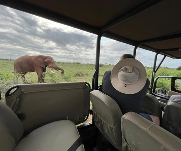 Safari de 3 dias no Kruger com tudo incluído a partir de Nelspruit