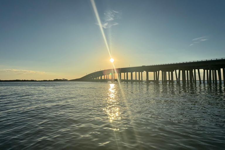 Destin: Sunset Pontoon Boat Cruise With Dolphin Watching