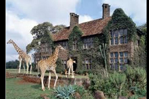 Nairobi : Animal Orphanage , Safari Walk and Giraffe Centre Nairobi: Safari Walk