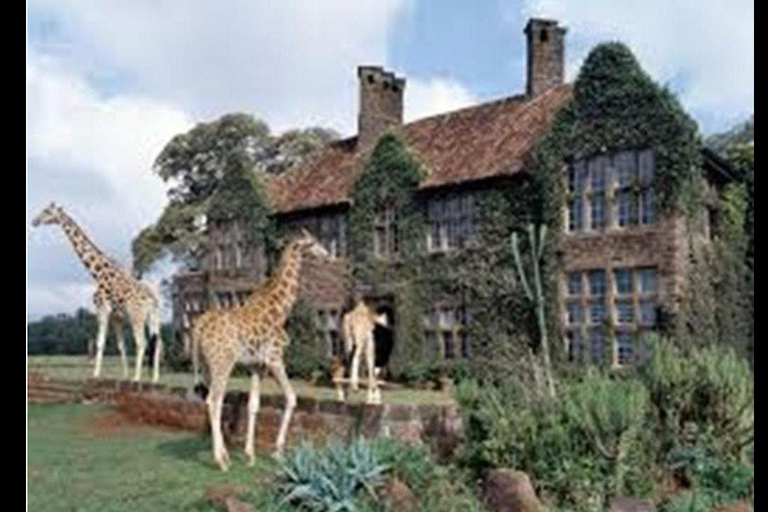 Nairobi : Animal Orphanage , Safari Walk and Giraffe Centre Nairobi: Safari Walk