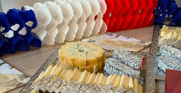 Munich: Cheese and Wine Tasting with 8 Cheeses